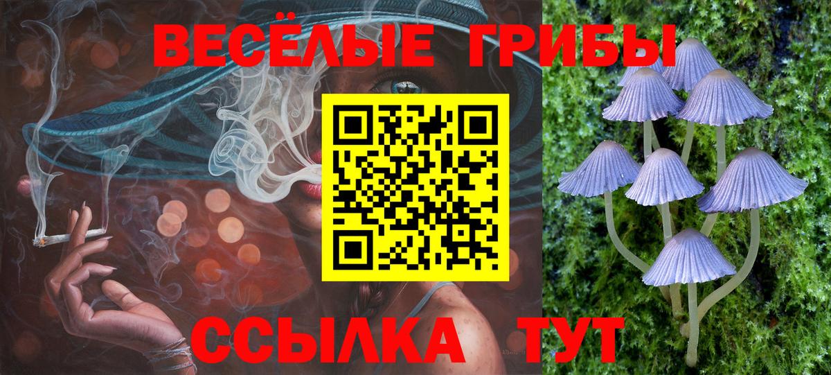 Бугуруслан  Псилоцибиновые грибы мицелий  Вход с VPN 